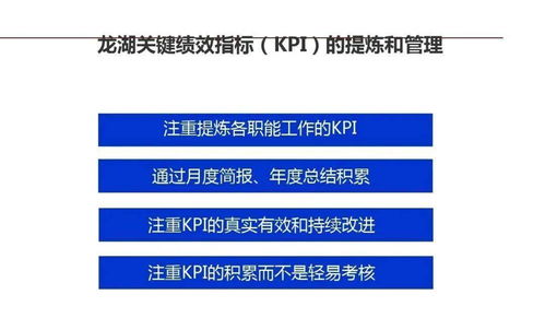龙湖集团 以精细化运营铸就卓越企业管理的典范