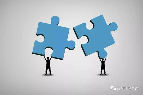 企业管理的五种职能与七大原则 构建高效组织的核心框架